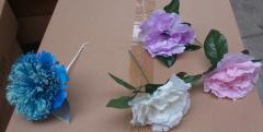 Saudades e Pionias